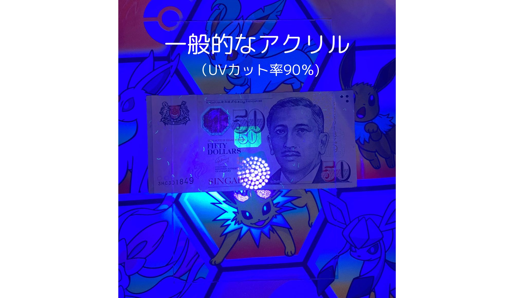 【画像の説明】