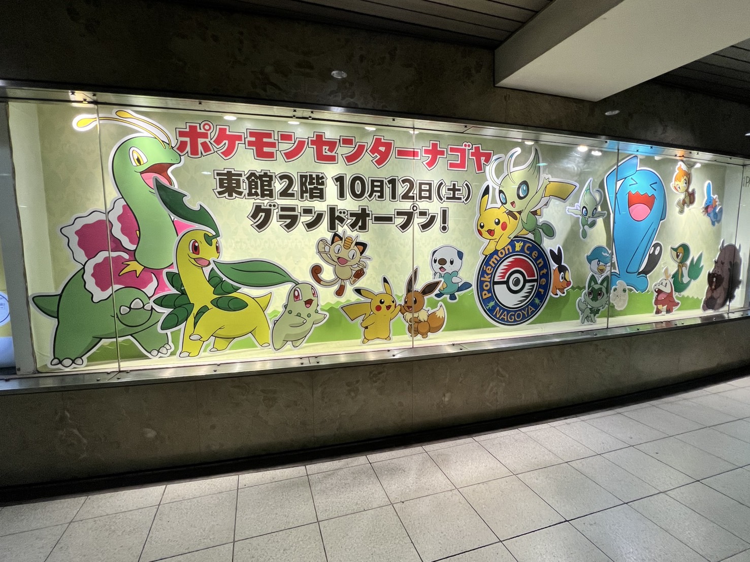 【画像の説明】