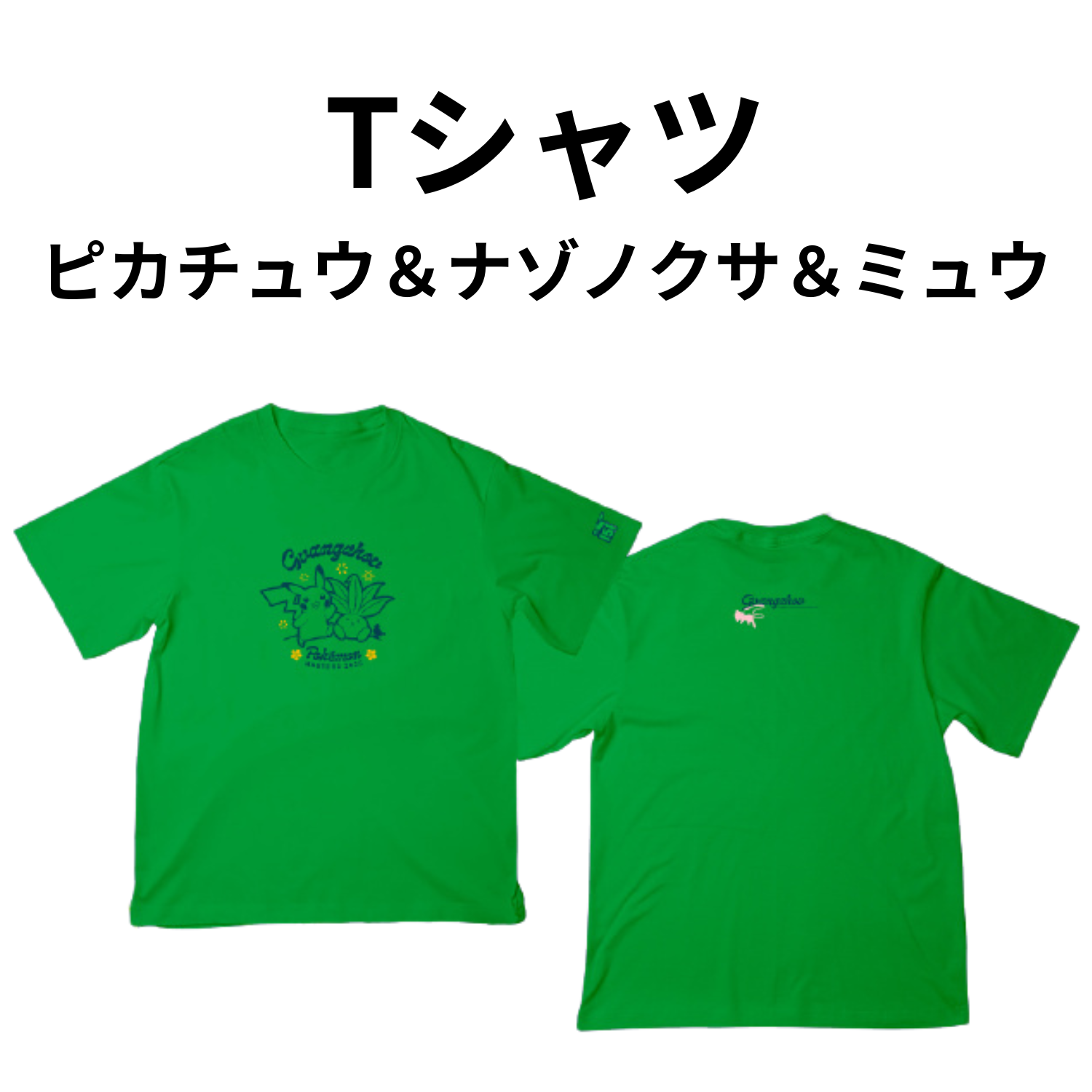 【画像の説明】