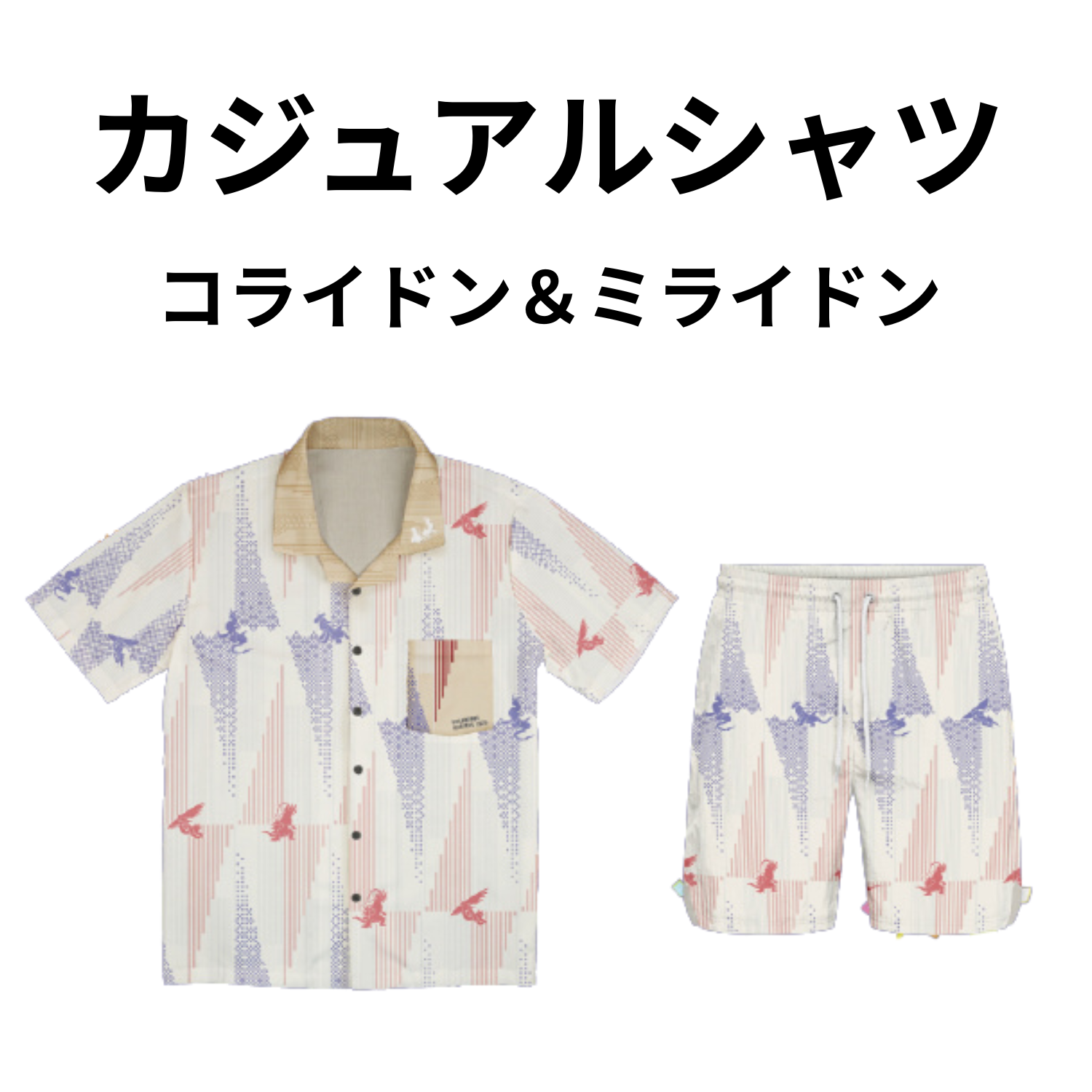 【画像の説明】
