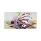 中国简体版 リーリエ ギフトボックス付属品