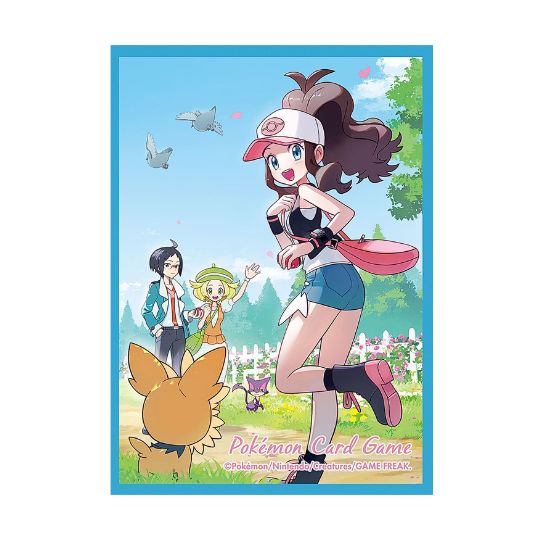【画像の説明】