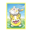 日版 ポケモンセンター トゲデマル＆ワンパチ