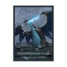 日版 ポケモンセンター メガリザードンX 古城