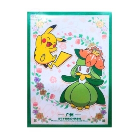 海外ポケモンカードジム店舗 広州 ピカチュウ&ドレディア