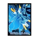 韓国 MEGA RIZAMONG X (メガリザードンX)