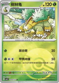 ハヤシガメ 0802/07