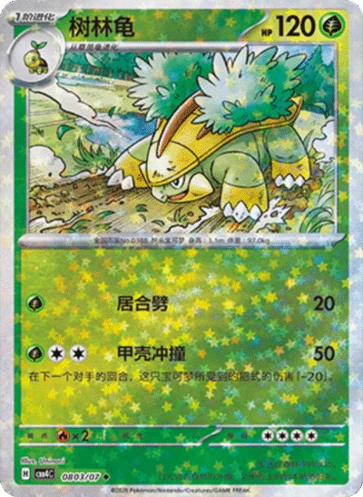 ハヤシガメ 0803/07