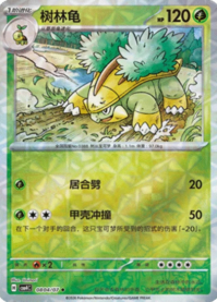 ハヤシガメ 0804/07