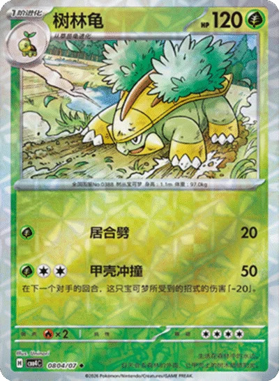 ハヤシガメ 0804/07