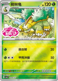 ハヤシガメ 0806/07