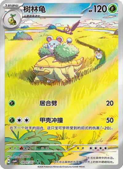 ハヤシガメ 0807/07