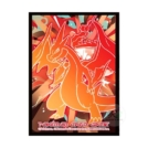 韓国 MEGA RIZAMONG Y 【メガリザードンY】