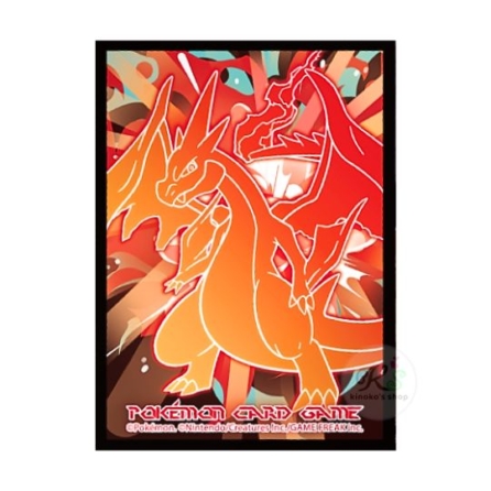 韓国 MEGA RIZAMONG Y 【メガリザードンY】