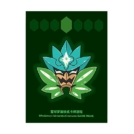 中国BOX封入 碧草面具 オーガポン みどりのめん