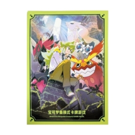 中国BOX封入 バトルギフトボックス N