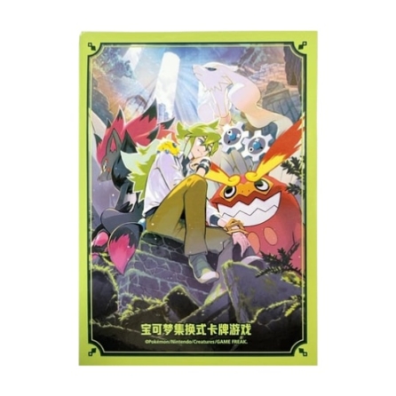 中国BOX封入 バトルギフトボックス N